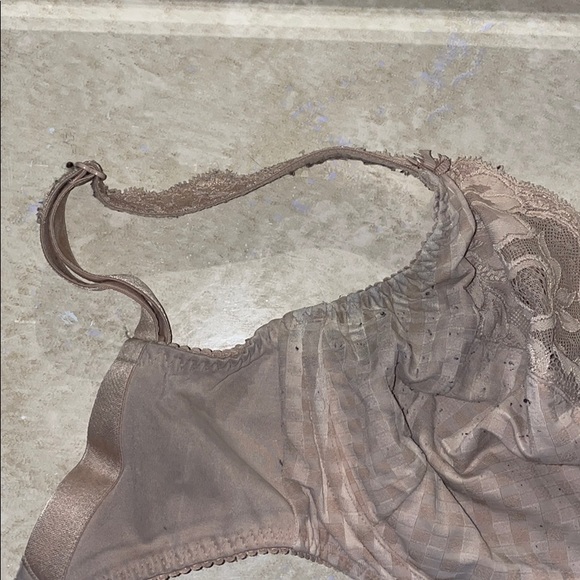 bra - Picture 2 of 3